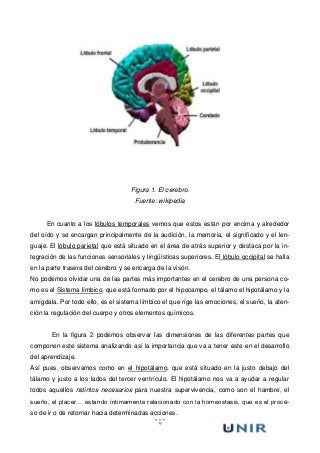 9
Figura 1. El cerebro.
Fuente: wikipedia
En cuanto a los lóbulos temporales vemos que estos están por encima y alrededor
del oído y se encargan principalmente de la audición, la memoria, el significado y el len-
guaje. El lóbulo parietal que está situado en el área de atrás superior y destaca por la in-
tegración de las funciones sensoriales y lingüísticas superiores. El lóbulo occipital se halla
en la parte trasera del cerebro y se encarga de la visón.
No podemos olvidar una de las partes más importantes en el cerebro de una persona co-
mo es el Sistema límbico, que está formado por el hipocampo, el tálamo el hipotálamo y la
amígdala. Por todo ello, es el sistema límbico el que rige las emociones, el sueño, la aten-
ción la regulación del cuerpo y otros elementos químicos.
En la figura 2 podemos observar las dimensiones de las diferentes partes que
componen este sistema analizando así la importancia que va a tener este en el desarrollo
del aprendizaje.
Así pues, observamos como en el hipotálamo, que está situado en la justo debajo del
tálamo y justo a los lados del tercer ventrículo. El hipotálamo nos va a ayudar a regular
todos aquellos nstintos necesarios para nuestra supervivencia, como son el hambre, el
sueño, el placer… estando íntimamente relacionado con la homeostasis, que es el proce-
so de ir o de retornar hacia determinadas acciones.
 