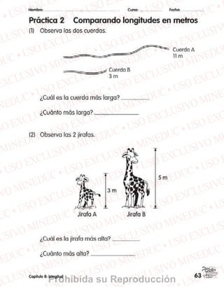 Prohibida su Reproducción
 