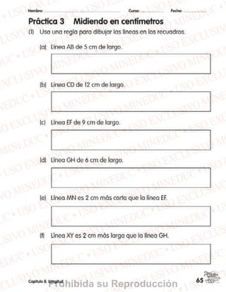 Prohibida su Reproducción
 