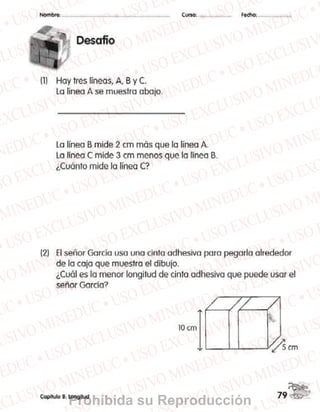 Prohibida su Reproducción
 