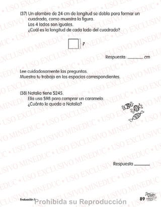 Prohibida su Reproducción
 