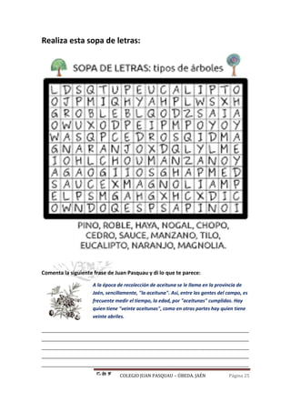 COLEGIO JUAN PASQUAU – ÚBEDA. JAÉN Página 25
Realiza esta sopa de letras:
Comenta la siguiente frase de Juan Pasquau y di lo que te parece:
A la época de recolección de aceituna se le llama en la provincia de
Jaén, sencillamente, "la aceituna". Así, entre las gentes del campo, es
frecuente medir el tiempo, la edad, por "aceitunas" cumplidas. Hay
quien tiene "veinte aceitunas", como en otras partes hay quien tiene
veinte abriles.
_______________________________________________________________________
_______________________________________________________________________
_______________________________________________________________________
_______________________________________________________________________
_______________________________________________________________________
 