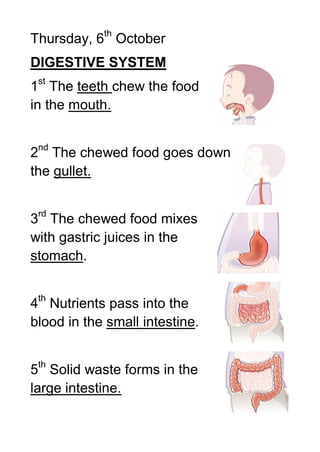 Thursday, 6th October
DIGESTIVE SYSTEM
1st The teeth chew the food
in the mouth.


2nd The chewed food goes down
the gullet.


3rd The chewed food mixes
with gastric juices in the
stomach.


4th Nutrients pass into the
blood in the small intestine.

 th
5 Solid waste forms in the
large intestine.
 