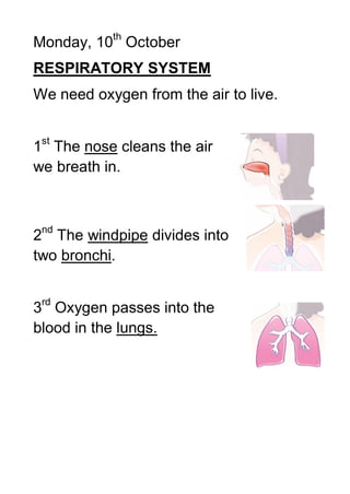Monday, 10th October
RESPIRATORY SYSTEM
We need oxygen from the air to live.


1st The nose cleans the air
we breath in.



2nd The windpipe divides into
two bronchi.

 rd
3 Oxygen passes into the
blood in the lungs.
 