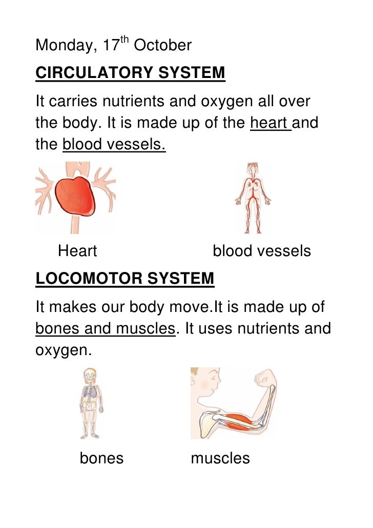 Unit 1: how or body works