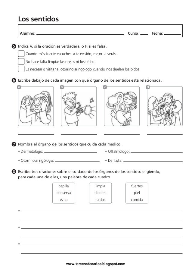 Cuaderno vacaciones ciencias_3.1