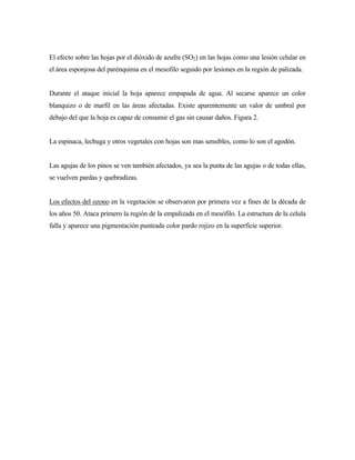 El efecto sobre las hojas por el dióxido de azufre (SO2) en las hojas como una lesión celular en
el área esponjosa del parénquima en el mesofilo seguido por lesiones en la región de palizada.
Durante el ataque inicial la hoja aparece empapada de agua. Al secarse aparece un color
blanquizo o de marfil en las áreas afectadas. Existe aparentemente un valor de umbral por
debajo del que la hoja es capaz de consumir el gas sin causar daños. Figura 2.
La espinaca, lechuga y otros vegetales con hojas son mas sensibles, como lo son el agodón.
Las agujas de los pinos se ven también afectados, ya sea la punta de las agujas o de todas ellas,
se vuelven pardas y quebradizas.
Los efectos del ozono en la vegetación se observaron por primera vez a fines de la década de
los años 50. Ataca primero la región de la empalizada en el mesófilo. La estructura de la celula
falla y aparece una pigmentación punteada color pardo rojizo en la superficie superior.
 
