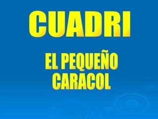 CUADRI EL PEQUEÑO  CARACOL 
