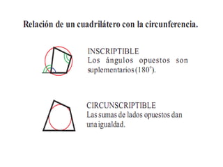 Cuadrilateros