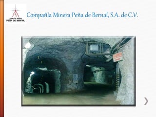 Compañía Minera Peña de Bernal, S.A. de C.V.
 