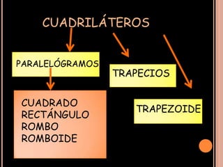 CUADRILÁTEROS


PARALELÓGRAMOS
                 TRAPECIOS

CUADRADO
                    TRAPEZOIDE
RECTÁNGULO
ROMBO
ROMBOIDE
 