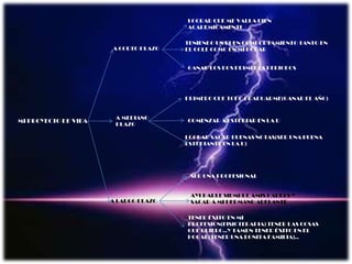 LOGRAR QUE ME VALLA BIEN ACADEMICAMENTE TENIENDO UN BUEN COMPORTAMIENTO TANTO EN EL COLE COMO EN MI HOGAR A CORTO PLAZO GANAR LOS DOS PRIMEROS PERIODOS PRIMERO QUE TODO GRADUARME(GANAR EL AÑO) A MEDIANO PLAZO MI PROYECTO DE VIDA COMENZAR A ESTUDIAR EN LA U LOGRAR SACAR BUENAS NOTAS(SER UNA BUENA ESTUDIANTE EN LA U) SER UNA PROFESIONAL AYUDARLE SIEMPRE AMIS PADRES Y SACAR A MI HERMANO ADELANTE A LARGO PLAZO TENER ÉXITO EN MI PROFESION(FISIOTERAPIA) TENER LAS COSAS QUE QUIERO..Y TAMBN TENER ÉXITO EN EL HOGAR(TENER UNA BONITA FAMILIA).. 