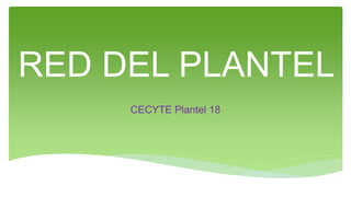 RED DEL PLANTEL
CECYTE Plantel 18
 