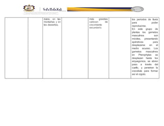 dulce, en las
montañas y en
los desiertos.
más grandes
carecen de
crecimiento
secundario.
los periodos de lluvia
para poder
reproducirse.
En este grupo de
plantas los gametos
masculinos son
móviles, presentando
apéndices para
desplazarse en el
medio acuoso. Los
gametos masculinos
en Pterophytas se
desplazan hasta los
arquegonios, se abren
paso a través del
cuello, y penetran la
ovocélula para formar
así el cigoto.
 