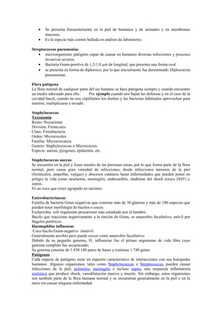 • Se presenta frecuentemente en la piel de humanos y de animales y en membranas
mucosas.
• Es la especie más común hallada en análisis de laboratorio.
Streptococcus pneumoniae
• microorganismo patógeno capaz de causar en humanos diversas infecciones y procesos
invasivos severos.
• Bacteria Gram-positiva de 1,2-1,8 µm de longitud, que presenta una forma oval
• se presenta en forma de diplococo, por lo que inicialmente fue denominado Diplococcus
pneumoniae.
Flora patógena
La flora normal de cualquier parte del ser humano se hace patógena siempre y cuando encuentre
un medio adecuado para ello. Por ejemplo cuando nos bajan las defensas y en el caso de la
cavidad bucal, cuando no nos cepillamos los dientes y las bacterias habituales aprovechan para
nutrirse, multiplicarse e invadir.
Staphylococcus
Taxonomía
Reino: Procariotae
División: Firmicotes
Clase: Firmibacteria
Orden: Micrococales
Familia: Micrococcacea
Genero: Staphylococcus ó Micrococcus
Especie: aureus, pyogenes, epidermis, etc.
Staphylococcus aureus
Se encuentra en la piel y fosas nasales de las personas sanas, por lo que forma parte de la flora
normal, pero causa gran variedad de infecciones, desde infecciones menores de la piel
(forúnculos, ampollas, vejigas) y abscesos cutáneos hasta enfermedades que pueden poner en
peligro la vida como neumonía, meningitis, endocarditis, síndrome del shock toxico (SST) y
sepsis.
Es un coco que crece agrupado en racimos.
Enterobacteriaceae
Familia de bacteria Gram negativas que contiene más de 30 géneros y más de 100 especies que
pueden tener morfología de bacilos o cocos.
Escherichia coli organismo procarionte más estudiado por el hombre.
Bacilo que reacciona negativamente a la tinción de Gram, es anaerobio facultativo, móvil por
flagelos perítricos.
Haemophilus influenzae
Coco bacilo Gram-negativo inmóvil.
Generalmente aerobio pero puede crecer como anaerobio facultativo.
Debido de su pequeño genoma, H. influenzae fue el primer organismo de vida libre cuyo
genoma completo fue secuenciado.
Su genoma consiste de 1.830.140 pares de bases y contiene 1.740 genes
Patógenos
Cada especie de patógeno tiene un espectro característico de interacciones con sus huéspedes
humanos. Algunos organismos, tales como Staphylococcus o Streptococcus, pueden causar
infecciones de la piel, pulmonía, meningitis e incluso sepsis, una respuesta inflamatoria
sistémica que produce shock, vasodilatación masiva y muerte. Sin embargo, estos organismos
son también parte de la flora humana normal y se encuentran generalmente en la piel o en la
nariz sin causar ninguna enfermedad.
 