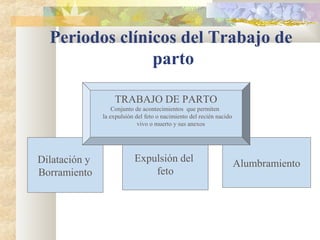 Periodos clínicos del Trabajo de
parto
Dilatación y
Borramiento
Expulsión del
feto
Alumbramiento
TRABAJO DE PARTO
Conjunto de acontecimientos que permiten
la expulsión del feto o nacimiento del recién nacido
vivo o muerto y sus anexos
 