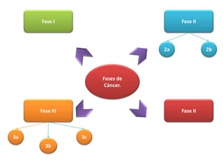 Fases de
Cáncer.
Fase I Fase II
Fase III Fase II
3a
3b
3c
2b2a
 
