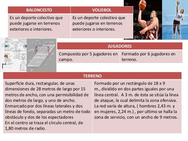37+ Cuadro Comparativo Deportes Individuales Y Colectivos Images
