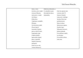 Erik Euroza Monciño.

lotor), y otros           (Habromys delicatulus, y
terrestres como venado H. schmidlyi) y gran          Entre las especies más
temazate (Mazama          diversidad de ranas y      comunes están: El
americana) y venado       salamandras.               chamiso (Atriplex
cola blanca                                          canescens), verdolaga
(Odocoileus                                          de playa (Sesuvium
virginianus), armadillo                              portulacastrum),
(Dasypus                                             bejuco de playa
novemcinctus), jabalí                                (Ipomea pes-caprae),
(Pecari tajacu),                                     chechén negro
musaraña (Cryptotis                                  (Metopium brownei),
parva), nutria (Lontra                               palmera plateada
longicaudis), tapir                                  (Coccothrinax readii),
(Tapirus bairdii),                                   uva de playa
tepezcuintle (Agouti                                 (Coccoloba uvifera),
paca) y tlacuache                                    entre otras.
dorado (Caluromys
derbianus).
Entre las aves más
vistosas destacan el
 