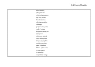 Erik Euroza Monciño.

águila solitaria
(Harpyhaliaetus
solitarius), guacamaya
roja (Ara macao),
hocofaisán (Crax
rubra), pava cojolita
(Penelope
purpurascens), perico
verde (Aratinga
holochlora), tucán real
(Ramphastos
sulfuratus), tucán de
collar (Pteroglossus
torquatus) y zopilote
rey (Sarcoramphus
papa). También la
habitan reptiles como
tortuga casquito
(Kinosternon
scorpioides), tortuga
 