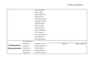 Erik Euroza Monciño.

                                       jicotea (Trachemys
                                       scripta), iguana
                                       (Iguana iguana), boa
                                       (Boa constrictor),
                                       víbora mano de piedra
                                       (Atropoides numifer),
                                       cascabel (Crotalus
                                       durissus) y varias
                                       especies de ranas,
                                       sapos y salamandras.
                                       En los limites con
                                       otros ecosistemas vive
                                       el cocodrilo de río
                                       (Crocodylus acutus).
                  Estos incluyen las
                  bacterias, los       miriapodos, como los     Bacterias            Hongos y bacterias
Desintegradores   hongos, los          mil pies, mariposas de

Descomponedores   nematodos, los       muchas especies,
                  protozoos, las       libélulas y caballitos
                  termitas, los        del diablo, moluscos
 