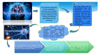 Es el estudio específico
de las sustancias
químicas que incluyen
los neurotransmisores
y otras moléculas como
drogas psicoactivas
que influyen en las
neuronas
Neuroquímica Neurobioquímica
Es una rama de la
neurociencia que se
especializa en la
bioquímica del sistema
nervioso. Gracias a los
estudios que se han
realizado se han podido
desarrollar métodos de
diagnóstico y
tratamientos para
diversas enfermedades
neurológicas
En el transcurso de una
investigación neurobioquímica
pueden necesitarse reactivos
químicos diversos y todo lo
necesario para realizar cultivos
celulares, que son el primer sistema
donde se investiga un proceso.
Neurotransmisores
Un neurotransmisor es una biomolecula que se
encarga de transmitir el impulso nervioso, o mensaje
con información, a una neurona consecutiva, las
cuales se comunican mediante sinapsis.
Sin los neurotransmisores, no
habría conexión química entre
neuronas. El neurotransmisor se
libera por las vesículas sinápticas
en la extremidad de la neurona
presináptica. Esto ocurre durante la
propagación del impulso nervioso.
En la actualidad conocemos más de
100 tipos de neurotransmisor con
funciones diferenciadas, algunos de
los más relevantes son: la
dopamina, la adrenalina, la
noradrenalina, la serotonina, la
acetilcolina, el glutamato, la glicina.
 