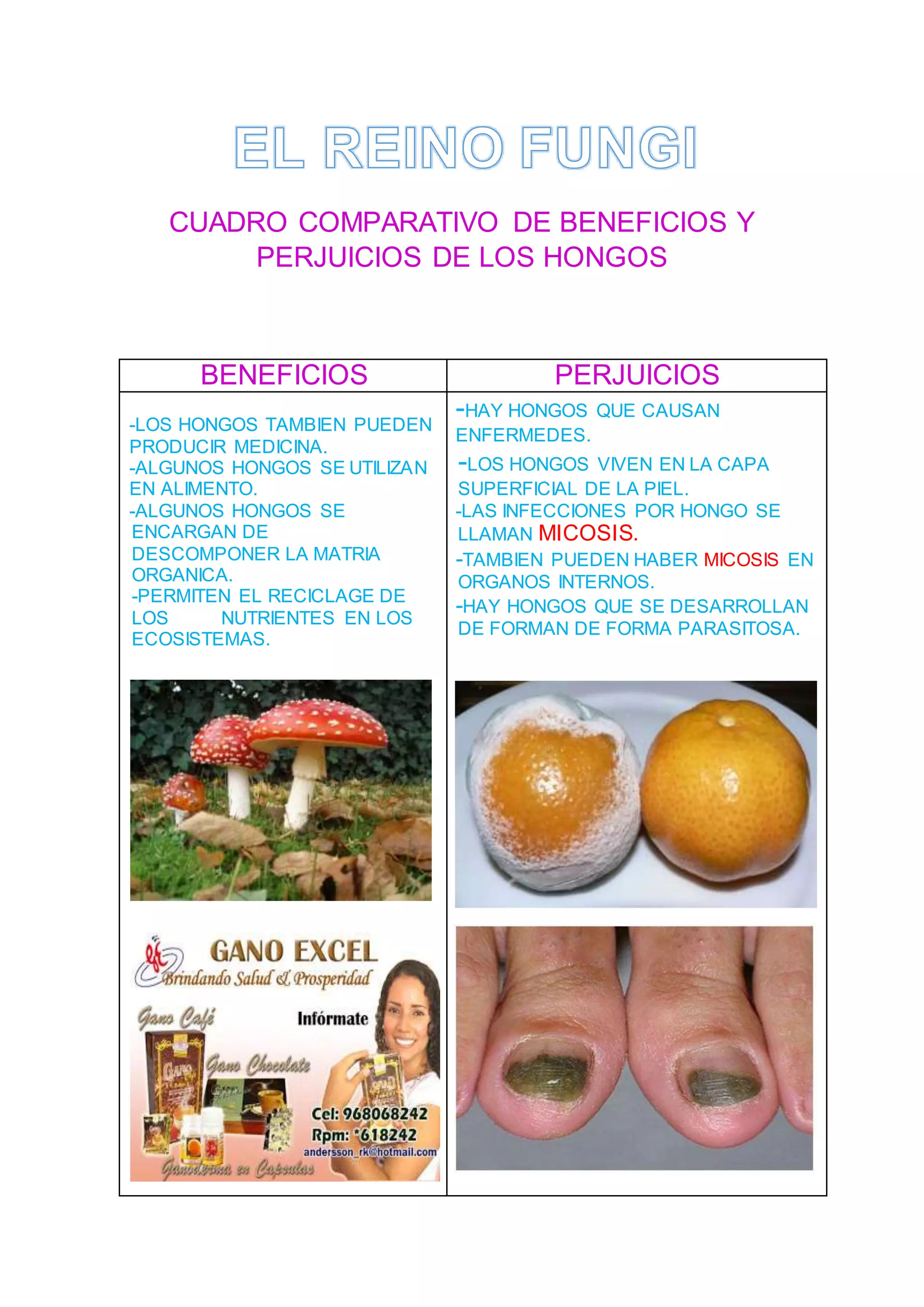 Cuadro comparativo de beneficios y perjuicios de los hongos | DOCX