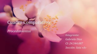 Cuadro Comparativo
Procedimientos
Integrante:
Gabriela Díaz
CI: 24.544.087
Sección: Saia «A»
 