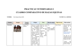 PRACTICAS VETERINARIAS I
CUADRO COMPARATIVO DE RAZAS EQUINAS
NOMBRE: Rico Vázquez Nyssa Edith MATRICULA: 440296944
Nombre Imagen Nombre
científico
Origen Peso Tipo de sangre Tipo de raza Dato curioso
Clydesdale Equus Ferus
caballus
Nació en el Valle
de Clyde, condado
de Lanarkshire,
Escocia, alrededor
del siglo XVIII.
Allí fueron
cruzados frisones y
flamencos con las
yeguas originarias
de ese lugar.
Fue empleado
originalmente
como caballo de
tiro en el sector de
agricultura por su
excelente porte y
fuerza, pero hoy en
día es más
Desde los 1.63
hasta los 1.93
metros
peso: entre 820
y 910
kilogramos,
pero han
superado los
1.000 kg/
recien nacido
81,6 kg
Fría,
tienen una
actitud agradable
y es un caballo de
tiro.
Raza Pesada -Son los famosos
caballos de la
cerveceria
budweiser, en
comerciales del
superbowl
Https://youtu.Be/
4rqg92ofwmg
-Se dice ser la
segunda raza más
grande del mundo
después del shire
-Tienen una
esperanza de vida
de 20 a 25 años
 