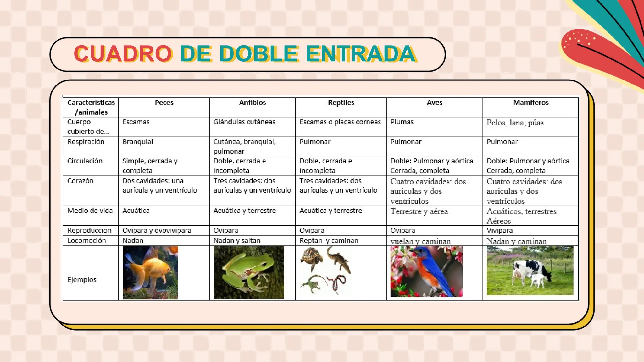 CUADRO DE DOBLE ENTRADA. CUADRO DE DOBLE ENTRADA | PPTX