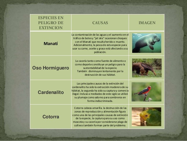 CUADRO DE ESPECIES EN PELIGRO DE EXTINCIÓN