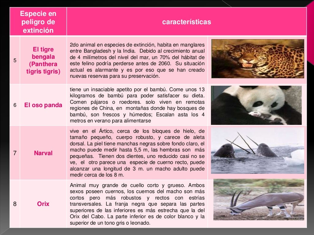 Cuadro Sinoptico De Animales En Peligro De Extincion