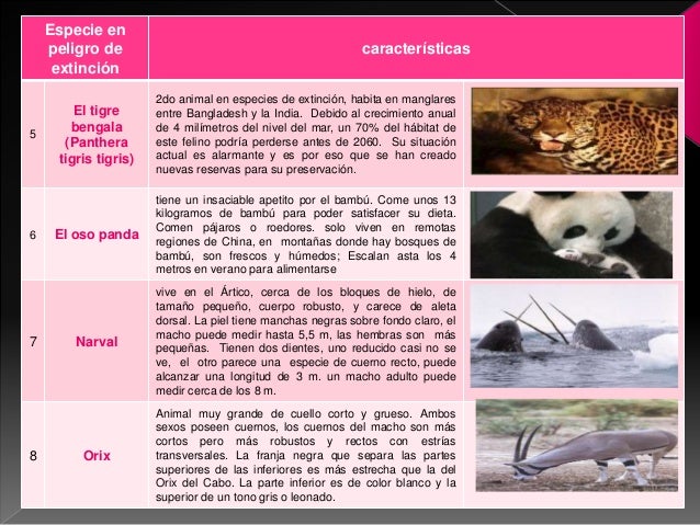 Cuadro de especies en peligro de extincion