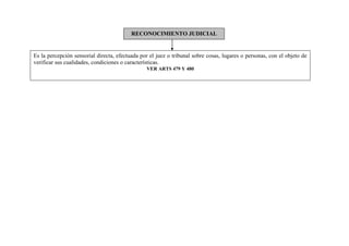 RECONOCIMIENTO JUDICIAL
Es la percepción sensorial directa, efectuada por el juez o tribunal sobre cosas, lugares o personas, con el objeto de
verificar sus cualidades, condiciones o características.
VER ARTS 479 Y 480
 