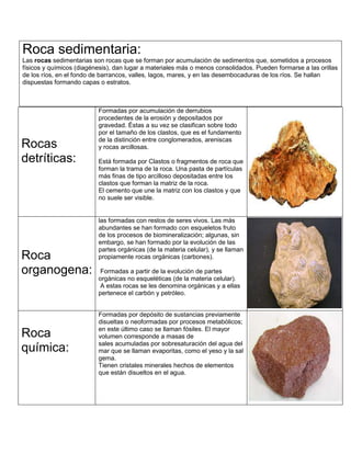 Roca sedimentaria:
Las rocas sedimentarias son rocas que se forman por acumulación de sedimentos que, sometidos a procesos
físicos y químicos (diagénesis), dan lugar a materiales más o menos consolidados. Pueden formarse a las orillas
de los ríos, en el fondo de barrancos, valles, lagos, mares, y en las desembocaduras de los ríos. Se hallan
dispuestas formando capas o estratos.
Rocas
detríticas:
Formadas por acumulación de derrubios
procedentes de la erosión y depositados por
gravedad. Éstas a su vez se clasifican sobre todo
por el tamaño de los clastos, que es el fundamento
de la distinción entre conglomerados, areniscas
y rocas arcillosas.
Está formada por Clastos o fragmentos de roca que
forman la trama de la roca. Una pasta de partículas
más finas de tipo arcilloso depositadas entre los
clastos que forman la matriz de la roca.
El cemento que une la matriz con los clastos y que
no suele ser visible.
Roca
organogena:
las formadas con restos de seres vivos. Las más
abundantes se han formado con esqueletos fruto
de los procesos de biomineralización; algunas, sin
embargo, se han formado por la evolución de las
partes orgánicas (de la materia celular), y se llaman
propiamente rocas orgánicas (carbones).
Formadas a partir de la evolución de partes
orgánicas no esqueléticas (de la materia celular).
A estas rocas se les denomina orgánicas y a ellas
pertenece el carbón y petróleo.
Roca
química:
Formadas por depósito de sustancias previamente
disueltas o neoformadas por procesos metabólicos;
en este último caso se llaman fósiles. El mayor
volumen corresponde a masas de
sales acumuladas por sobresaturación del agua del
mar que se llaman evaporitas, como el yeso y la sal
gema.
Tienen cristales minerales hechos de elementos
que están disueltos en el agua.
 