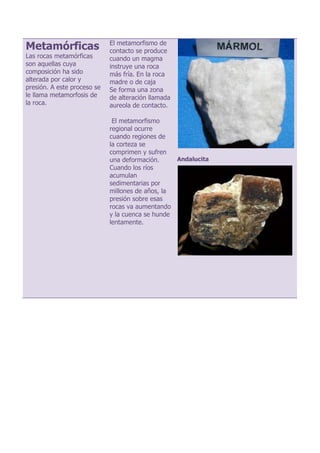Metamórficas
Las rocas metamórficas
son aquellas cuya
composición ha sido
alterada por calor y
presión. A este proceso se
le llama metamorfosis de
la roca.
El metamorfismo de
contacto se produce
cuando un magma
instruye una roca
más fría. En la roca
madre o de caja
Se forma una zona
de alteración llamada
aureola de contacto.
El metamorfismo
regional ocurre
cuando regiones de
la corteza se
comprimen y sufren
una deformación.
Cuando los ríos
acumulan
sedimentarias por
millones de años, la
presión sobre esas
rocas va aumentando
y la cuenca se hunde
lentamente.
Andalucita
 