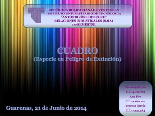 REPÚBLICA BOLIVARIANA DE VENEZUELA
INSTITUTO UNIVERSITARIO DE TECNOLOGÍA
“ANTONIO JÓSE DE SUCRE”
RELACIONES INDUSTRIALES (SAIA)
1er SEMESTRE
Mariangel Orta
C.I. 14.158.701
Ana Pire
C.I. 19.696.127
Yesenia García
C.I. 17.123.584
 