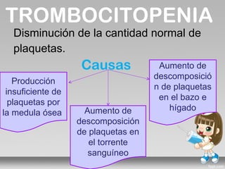 TROMBOCITOPENIA
  Disminución de la cantidad normal de
  plaquetas.
                    Causas            Aumento de
                                     descomposició
   Producción
                                     n de plaquetas
 insuficiente de
                                      en el bazo e
  plaquetas por
                     Aumento de          hígado
la medula ósea
                   descomposición
                   de plaquetas en
                      el torrente
                      sanguíneo
 
