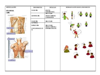 TRAPECIO GRAN DORSAL LUMBARES ABDOMINALES OBLICUOS OBLICUOS/ GRAN DORSAL/ ABDOMINALES ROTACIÓN CIRCUNDUCCIÓN OBLICUOS FLEXIÓN LATERAL GRAN DORSAL LUMBARES EXTENSIÓN REPRESENTACIÓN GRÁFICA MOVIMIENTO MÚSCULO RECTO ABDOMINAL OBLICUOS MOVIMIENTO FLEXIÓN ARTICULACIÓN COLUMNA (cuello) 