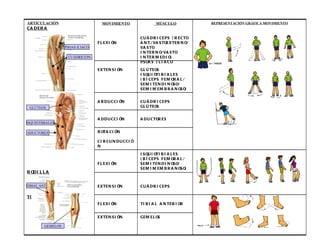 PSOAS ILIACO CUÁDRICEPS ISQUIOTIBIALES GLÚTEOS ADUCTORES TIBIAL ANT. GEMELOS ROTACIÓN CIRCUNDUCCIÓN ADUCTORES ADDUCCIÓN CUÁDRICEPS GLÚTEOS ABDUCCIÓN GLÚTEOS ISQUIOTIBIALES (BÍCEPS FEMORAL/ SEMITENDINOSO/ SEMIMEMBRANOSO) EXTENSIÓN GEMELOS EXTENSIÓN CUÁDRICEPS EXTENSIÓN TIBIAL ANTERIOR FLEXIÓN ISQUIOTIBIALES (BÍCEPS FEMORAL/ SEMITENDINOSO/ SEMIMEMBRANOSO) FLEXIÓN REPRESENTACIÓN GRÁFICA MOVIMIENTO MÚSCULO CUÁDRICEPS (RECTO ANT./VASTOEXTERNO/ VASTO INTERNO/VASTO INTERMEDIO) PSOAS ILIACO MOVIMIENTO FLEXIÓN ARTICULACIÓN CADERA RODILLA TOBILLO 