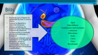 Bilis
 Secretada por el hígado en
cantidades de 600 a 1200 cc
diarios
 Permite la digestión y
absorción de grasas
 Elimina productos de
desechos como bilirrubina y
el exceso de colesterol
 La contracción es mediada
por control colinérgico y
hormonal
 El principal estímulo para el
vaciamiento es la llegada del
alimento y grasas al
duodeno que genera
contracciones rítmicas al
liberarse la colecistoquinina
y acetilcolina
Agua
Sales biliares
Fosfolípidos (90% lecitina)
Colesterol
Bilirrubina
Sodio
Calcio
Cloro
Bicarbonato
 
