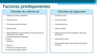 Factores predisponentes
Cálculos de colesterol Cálculos de pigmento
 Obesidad, síndrome metabólico
 Pérdida de peso
 Hormonas sexuales femeninas
 Edad creciente
 Hipomotilidad de la vesícula biliar que ocasiona estasis y
formación de barro biliar
a. Nutrición parenteral prolongada
b. Ayuno
c. Embarazo
 Diversos
a. Dieta rica en calorías y grasas
b. Lesiones de la médula espinal
 Hemólisis crónica
 Cirrosis alcohólica
 Anemia perniciosa
 Fibrosis quística
 Infección crónica de las vías biliares, infecciones
parasitarias
 Edad cada vez mayor
 Enfermedades ileales, resección ileal o derivación
intestinal
 