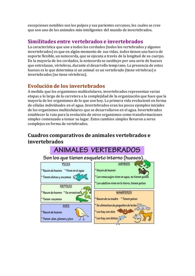 Cuadros comparativos animales vertebrados e invertebrados | DOCX