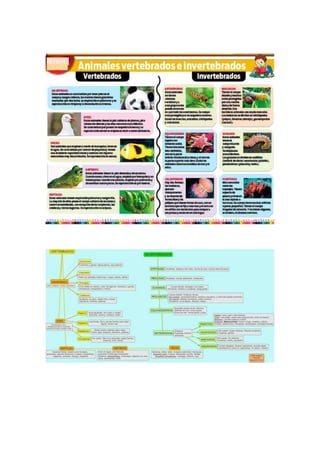 Cuadros comparativos animales vertebrados e invertebrados | DOCX