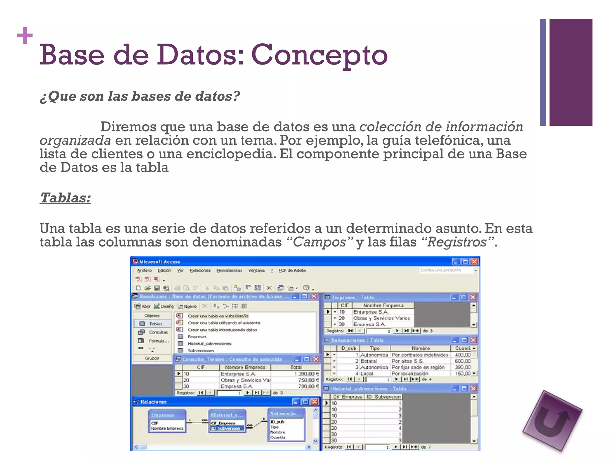 Base de Datos: Concepto ¿Que son las bases de datos? Diremos que una base de datos es una  colección de información organizada  en relación con un tema. Por ejemplo, la guía telefónica, una lista de clientes o una enciclopedia. El componente principal de una Base de Datos es la tabla Tablas: Una tabla es una serie de datos referidos a un determinado asunto. En esta tabla las columnas son denominadas  “Campos”  y las filas  “Registros” . 
