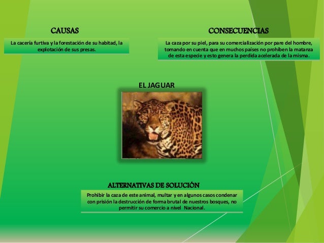 Cuadro sinoptico