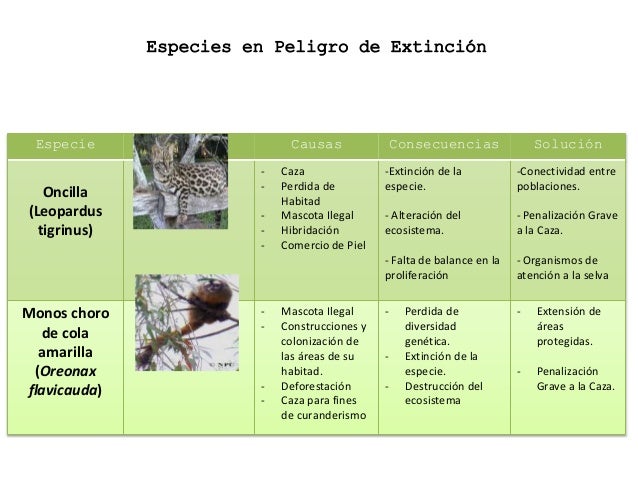 ESPECIES DE ANIMALES EN EXTINCIÓN