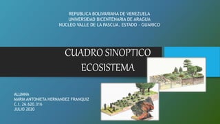 REPUBLICA BOLIVARIANA DE VENEZUELA
UNIVERSIDAD BICENTENARIA DE ARAGUA
NUCLEO VALLE DE LA PASCUA. ESTADO - GUARICO
CUADRO SINOPTICO
ECOSISTEMA
ALUMNA
MARIA ANTONIETA HERNANDEZ FRANQUIZ
C.I. 26.620.316
JULIO 2020
 