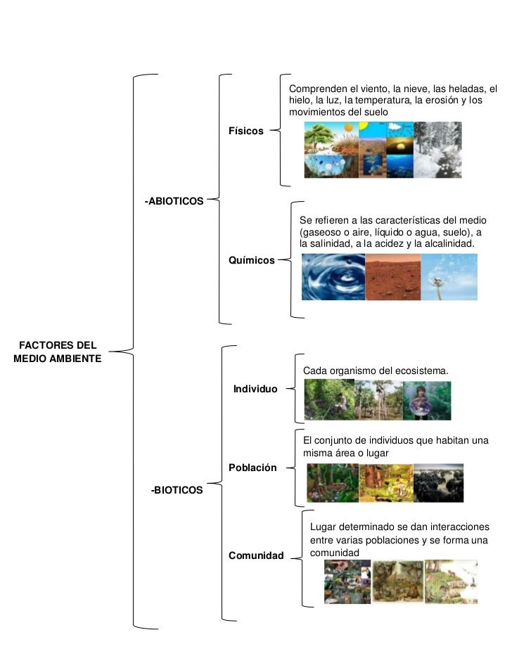 Cuadro sinoptico de factores del medio ambiente