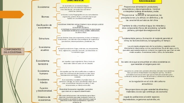 Cuadro sinoptico de los ecosistemas